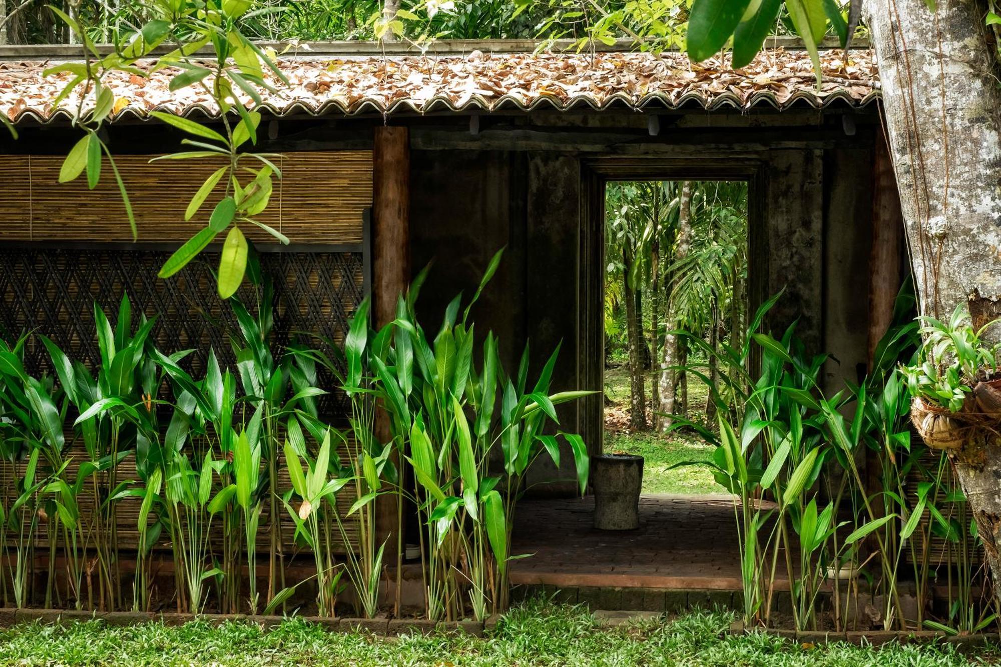 Nisala Arana Boutique Hotel Bentota Exterior foto