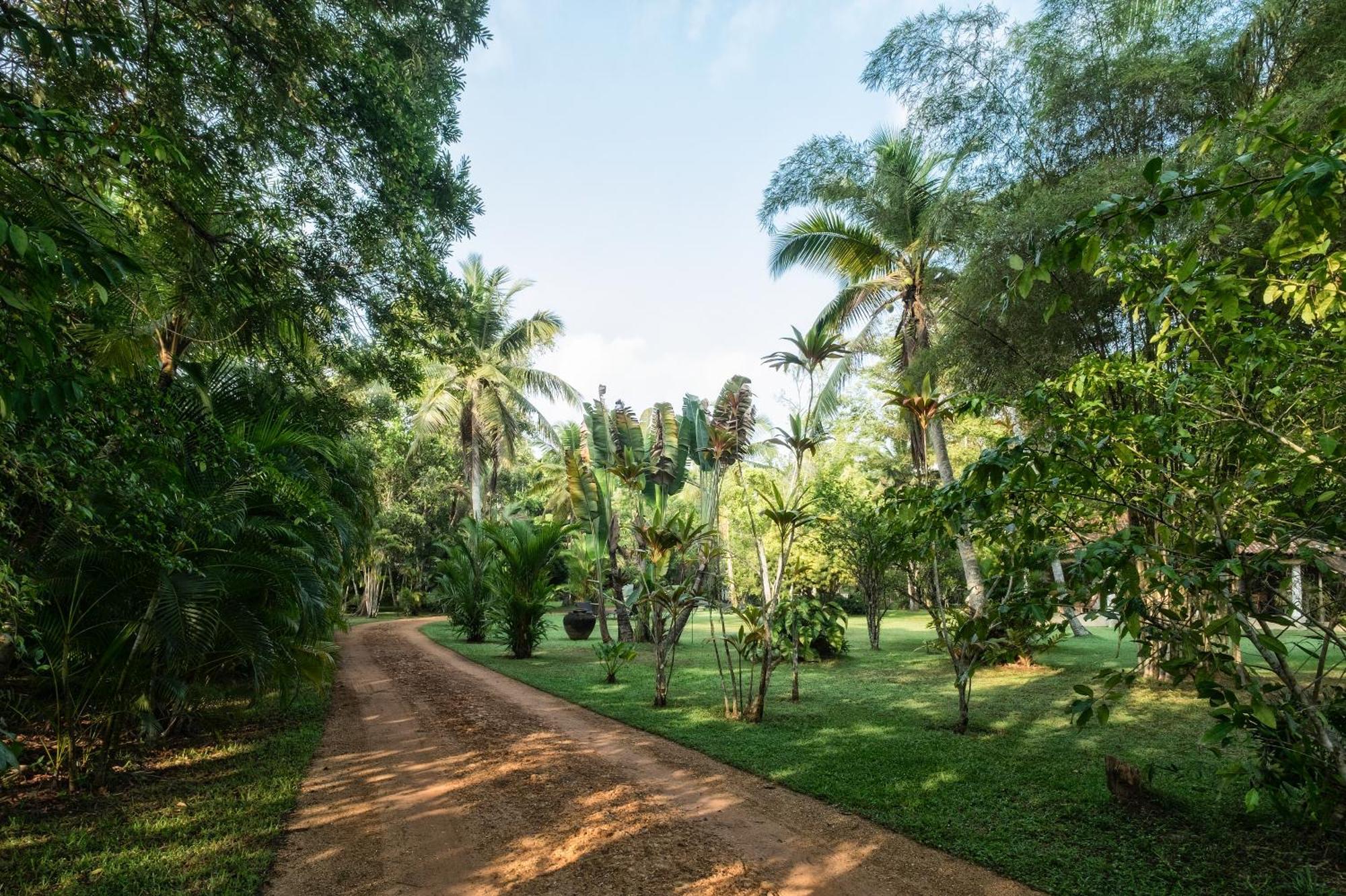 Nisala Arana Boutique Hotel Bentota Exterior foto