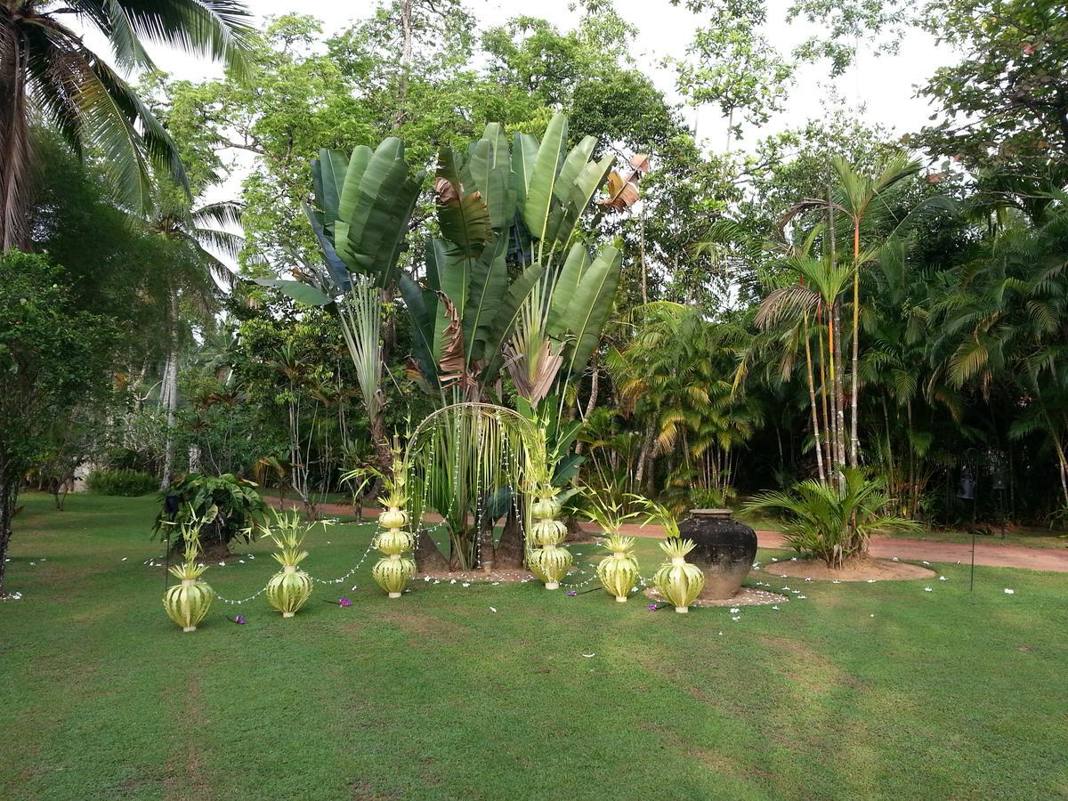 Nisala Arana Boutique Hotel Bentota Exterior foto